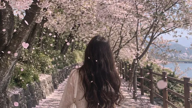 봄날의 산책자