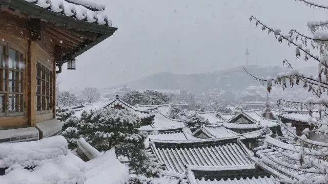 눈 내린 한옥 지붕 위로 내리는 눈
