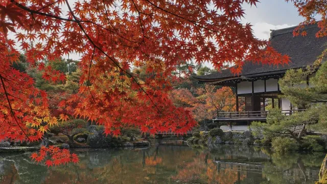 단풍 정원 연못 반영