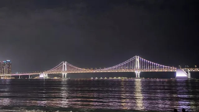 네온 교차로 하나로 설명하는 도시 영화의 공식